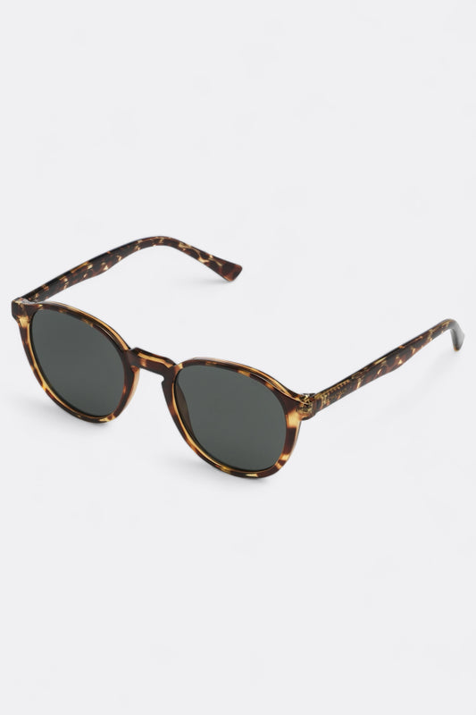 Komono - Liam (Tortoise)