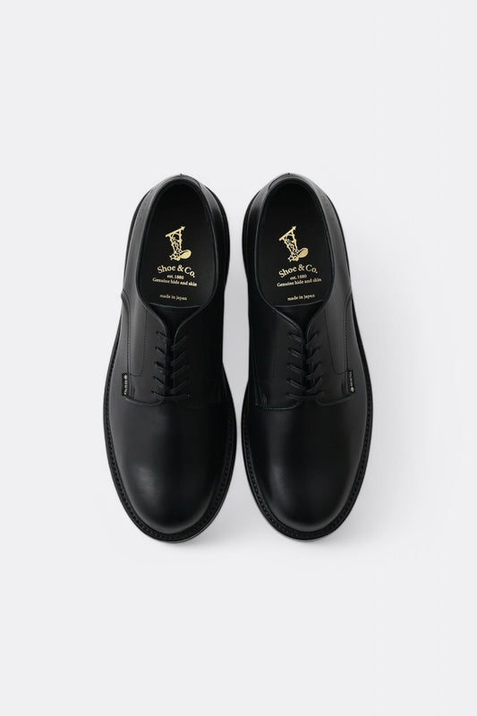 Regal Shoe & Co. - Plain-Toe GTX (Black)