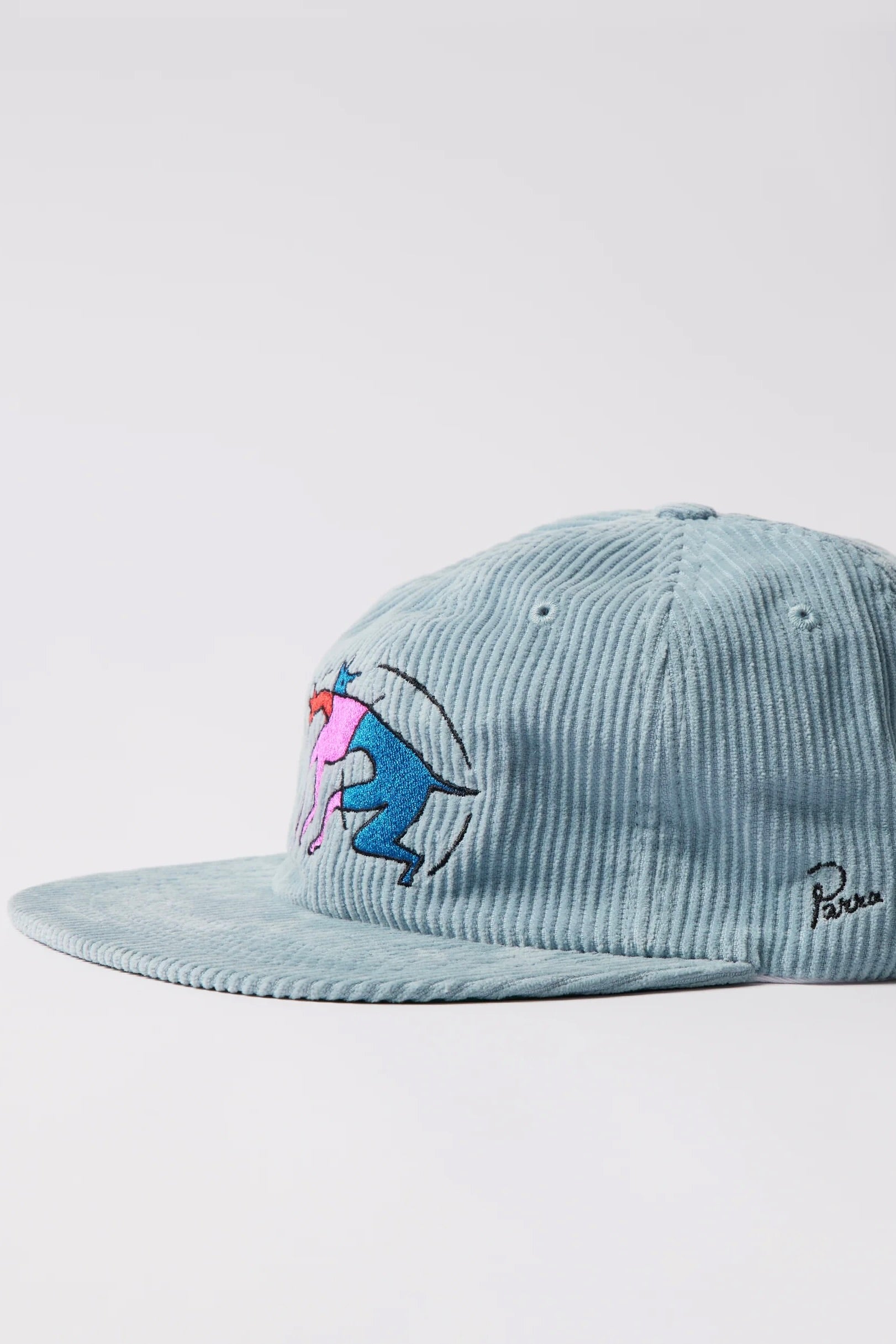 By Parra - The Zoomies 6 Panel Hat (Green)