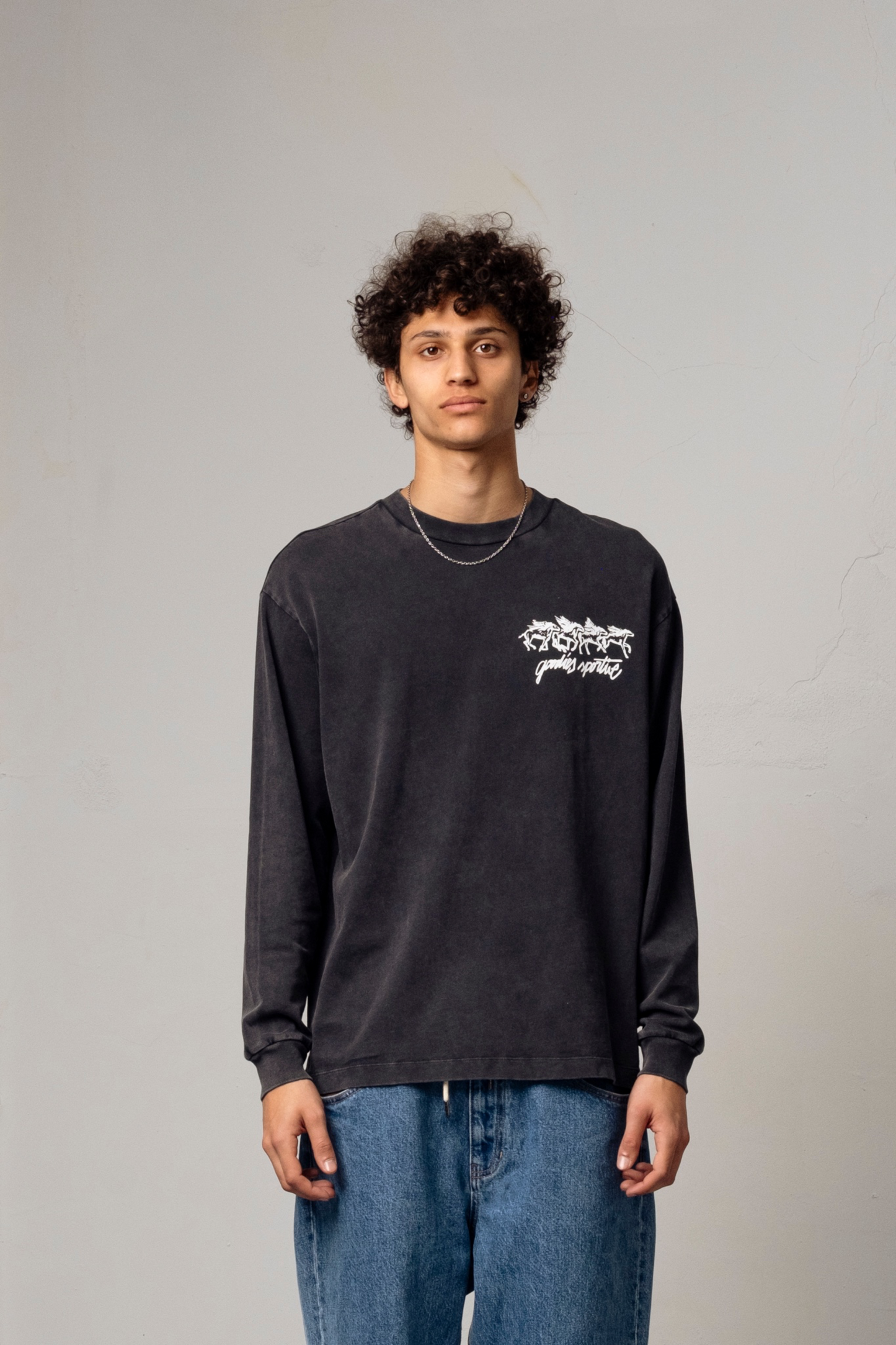 GOODIES SPORTIVE Les Chevaux Sauvages Long Sleeve Grey Fadeout | Coton | Edgar Bdx