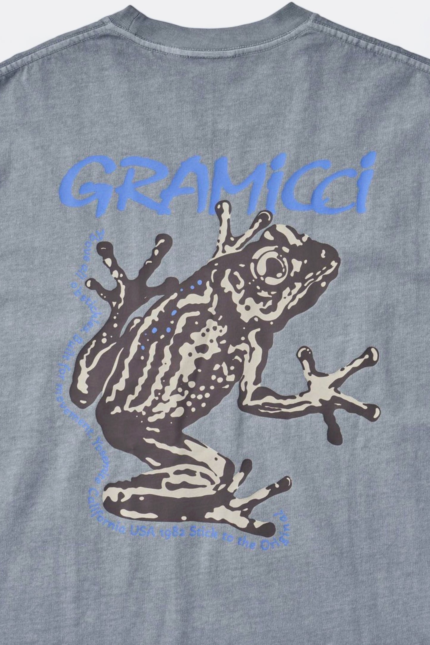 Gramicci - Sticky Frog Tee (Slate Pigment)