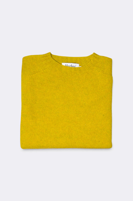 HARLEY OF SCOTLAND Pull Shetland Col Rond Citrine | Edgar Bdx