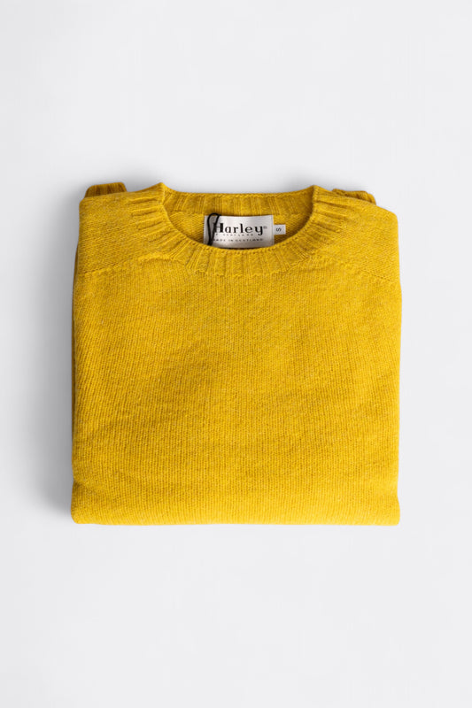 Harley of Scotland Pull Shetland Col Rond Sunshine | Pull Laine Écosse | Edgar Bdx