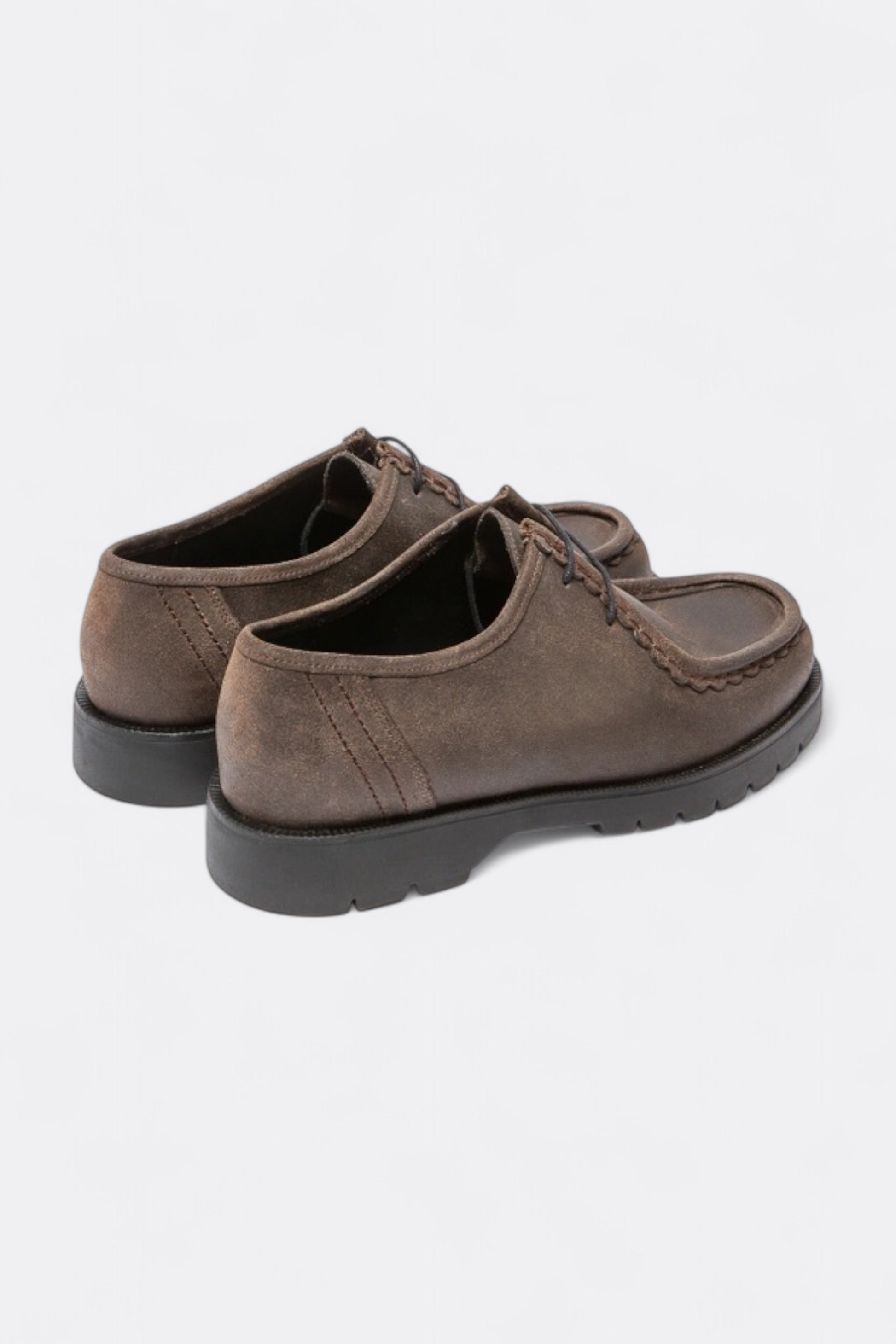 Kleman - Padror EC (Châtaigne)