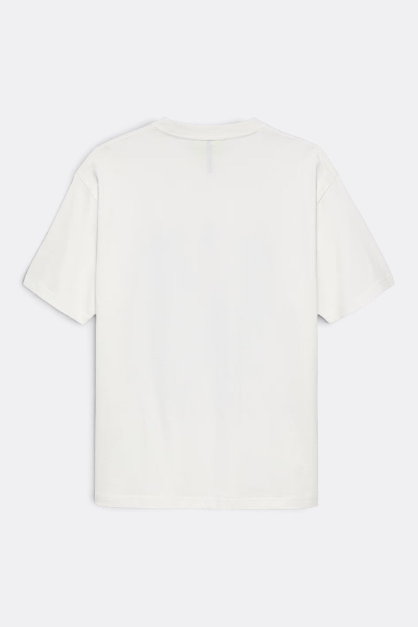 NEW AMSTERDAM SURF ASSOCIATION City of Water Tee Washed White | T-Shirt Coton Premium | Edgar Bdx