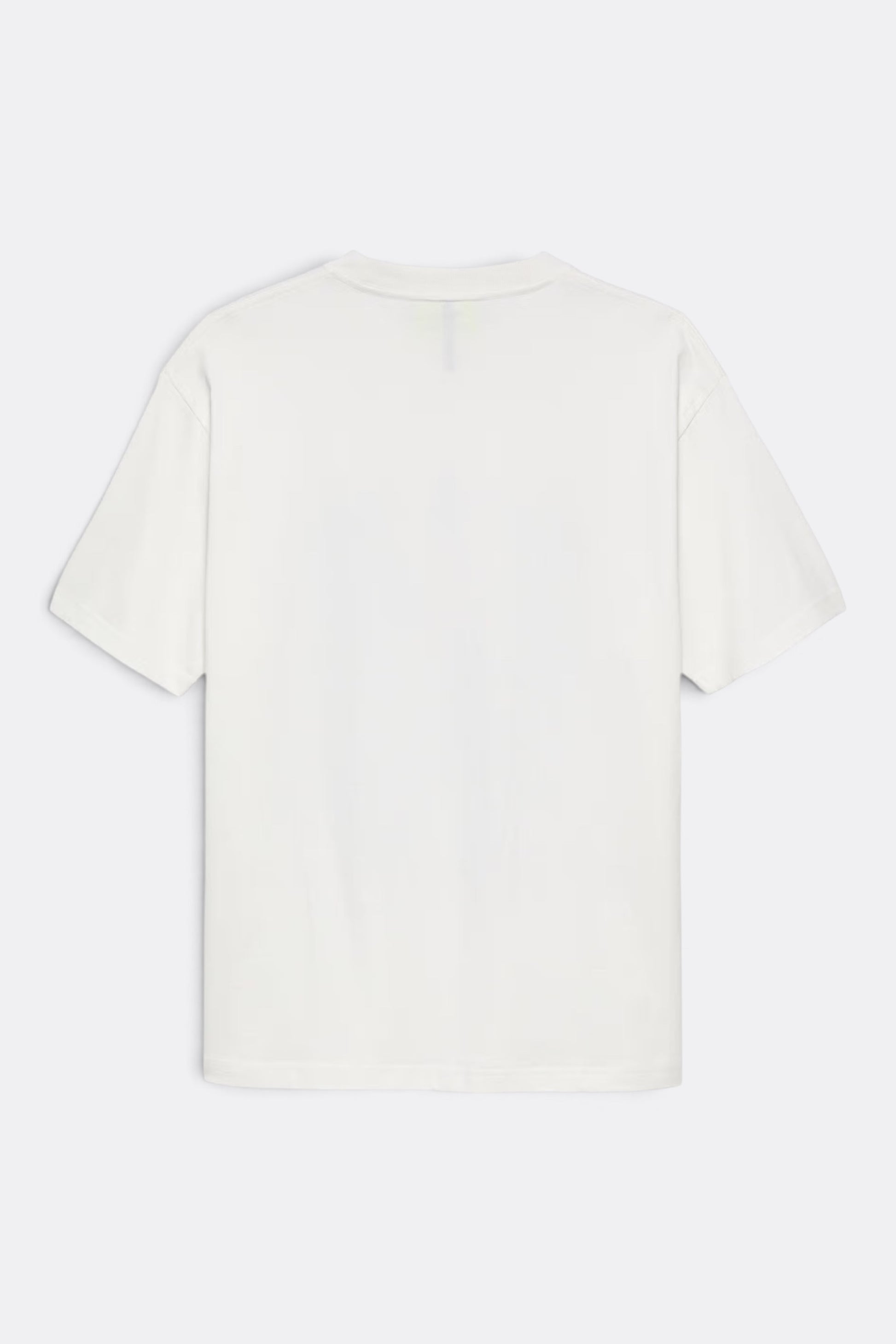 NEW AMSTERDAM SURF ASSOCIATION City of Water Tee Washed White | T-Shirt Coton Premium | Edgar Bdx