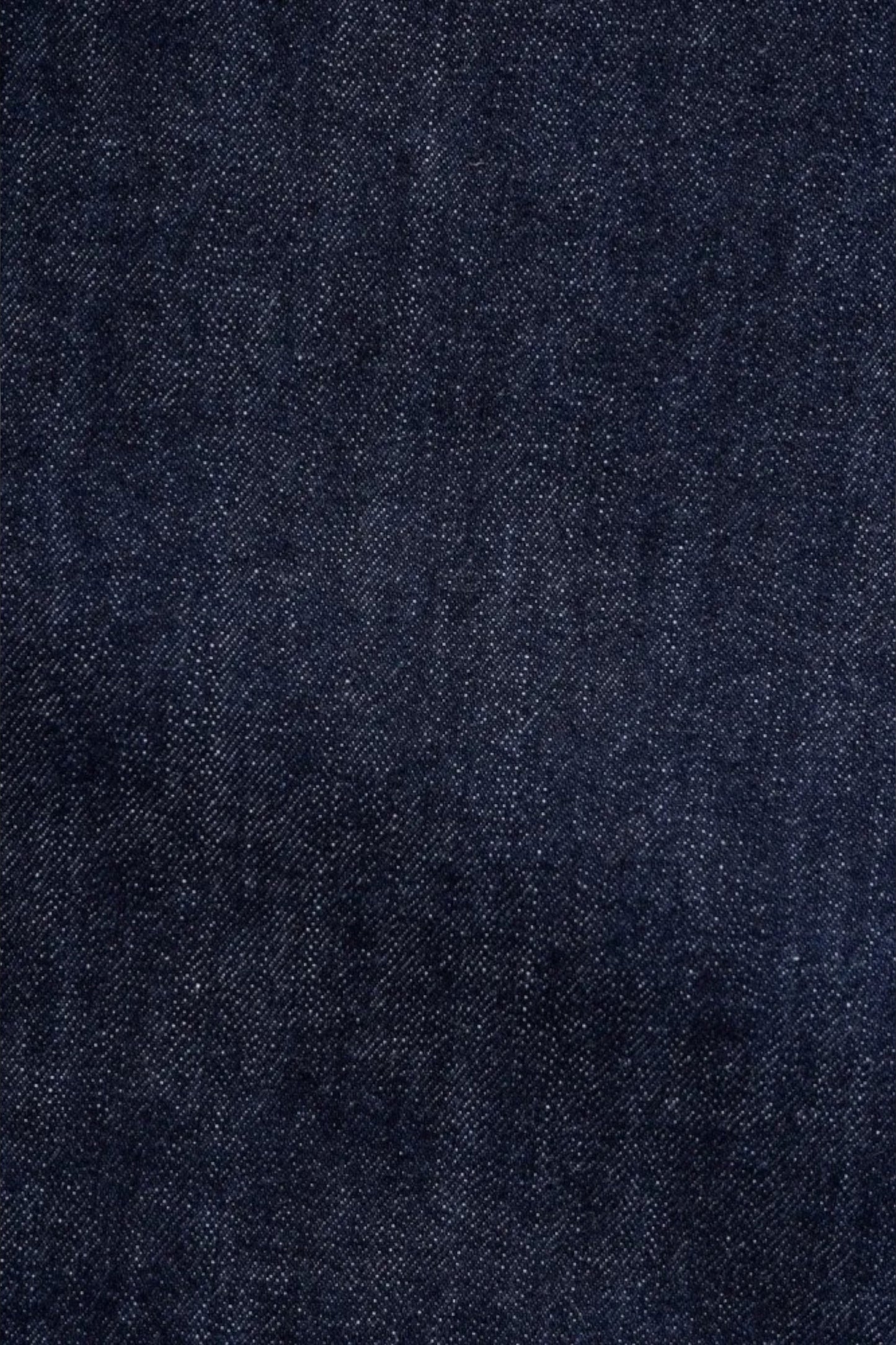 Ordinary Fits - 117 Loose Fit Denim (Indigo)