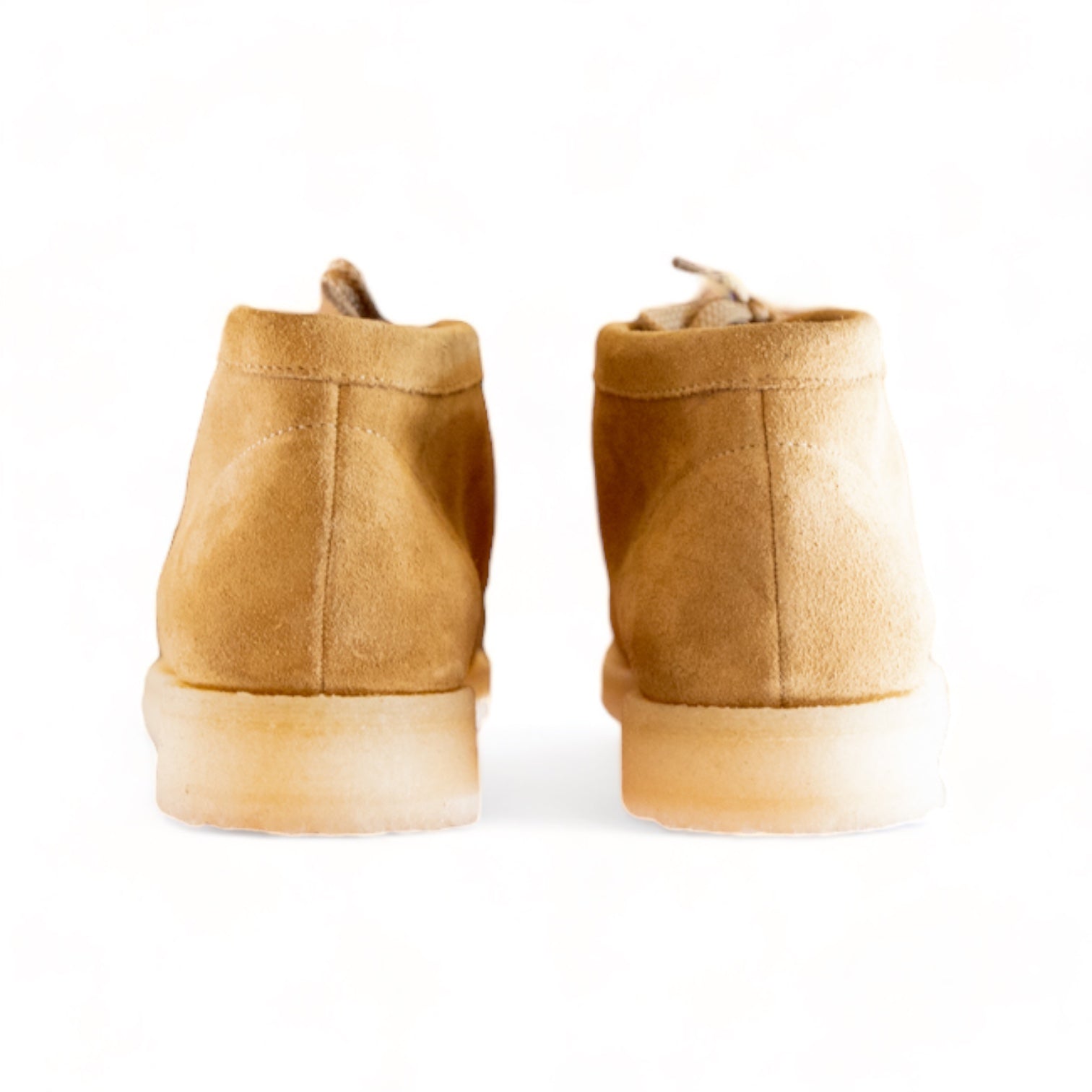 Padmore & Barnes - P404 (Terra)