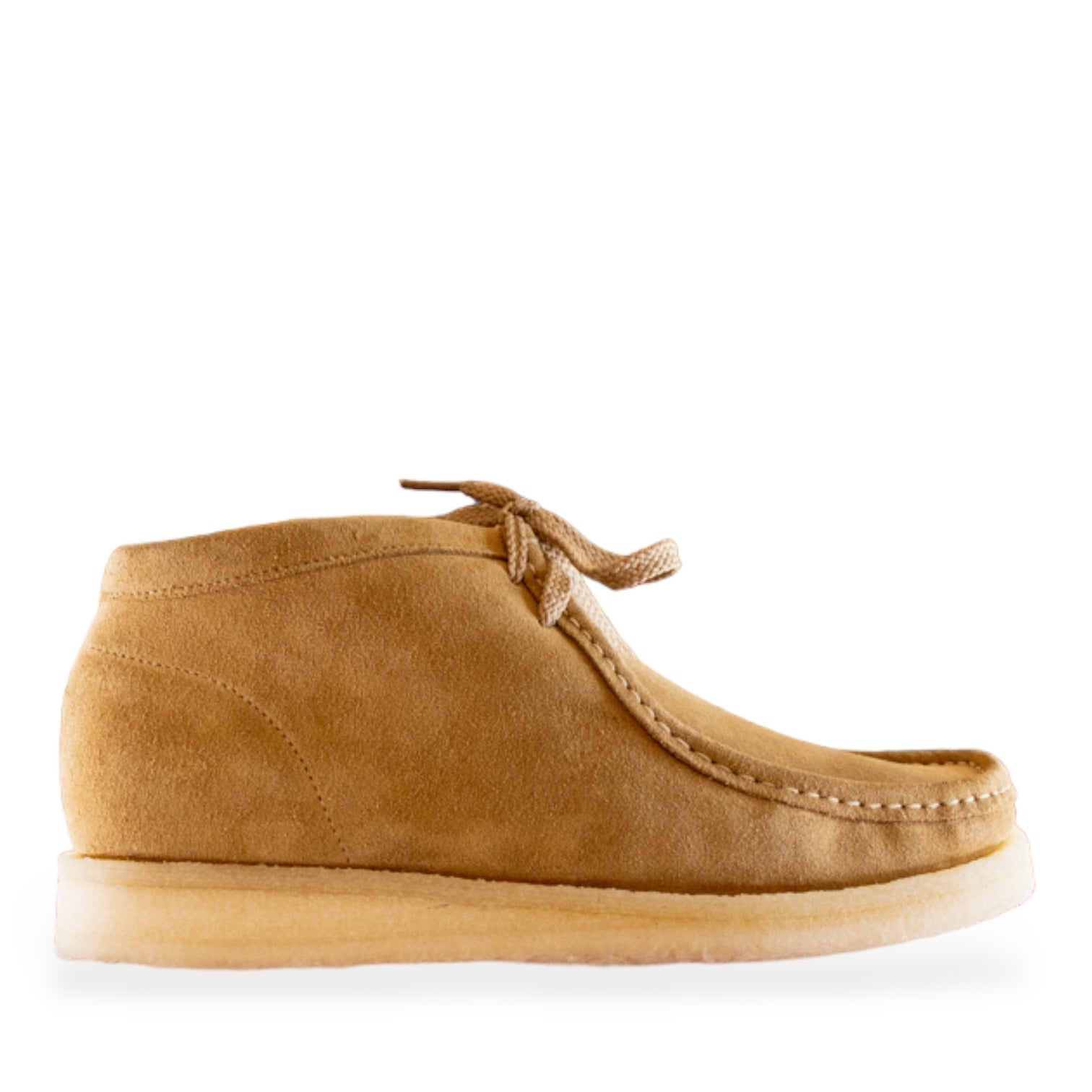 Padmore & Barnes - P404 (Terra)