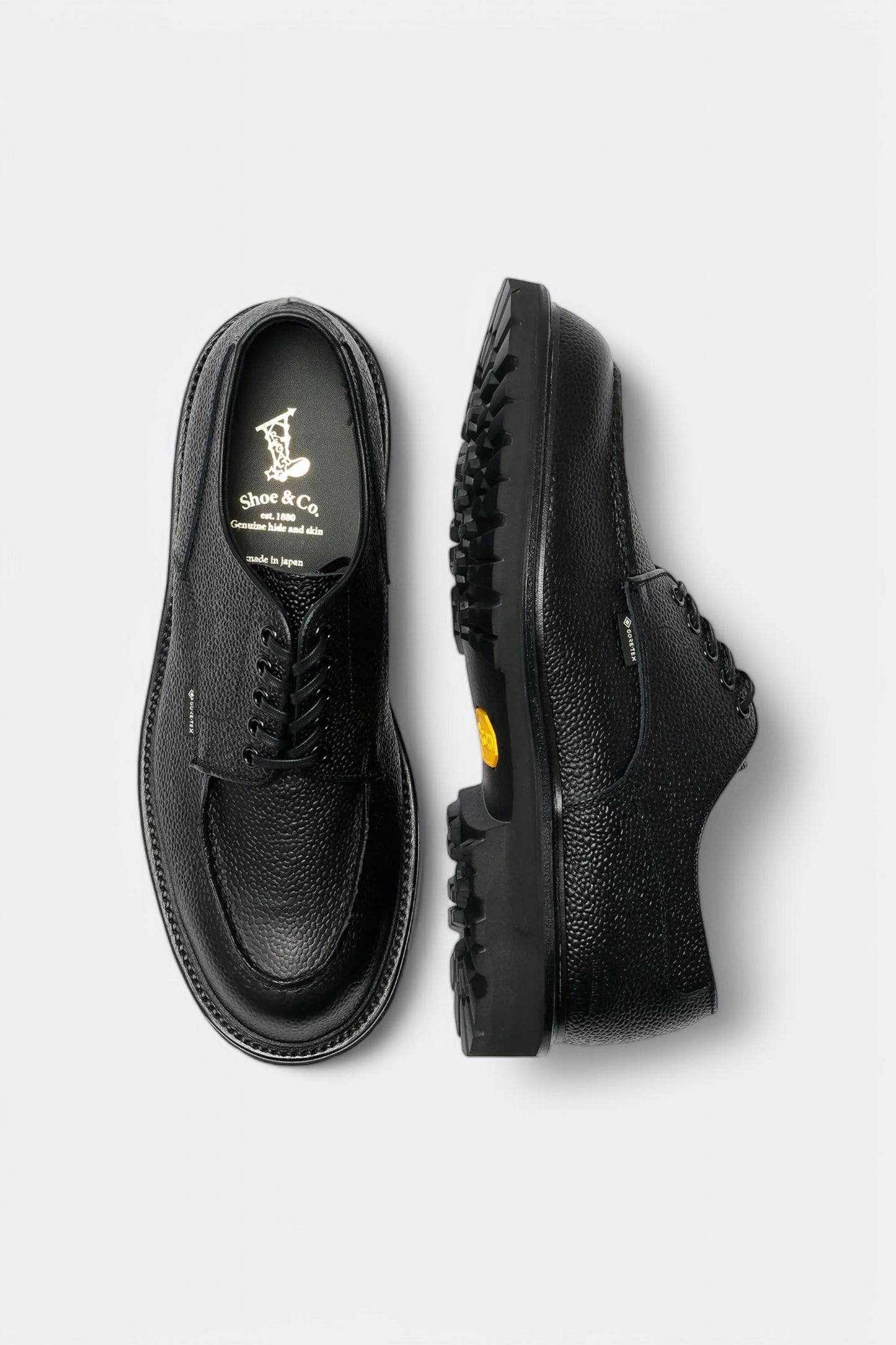 Regal Shoe & Co. - U-Tip GTX (Black Embossed)