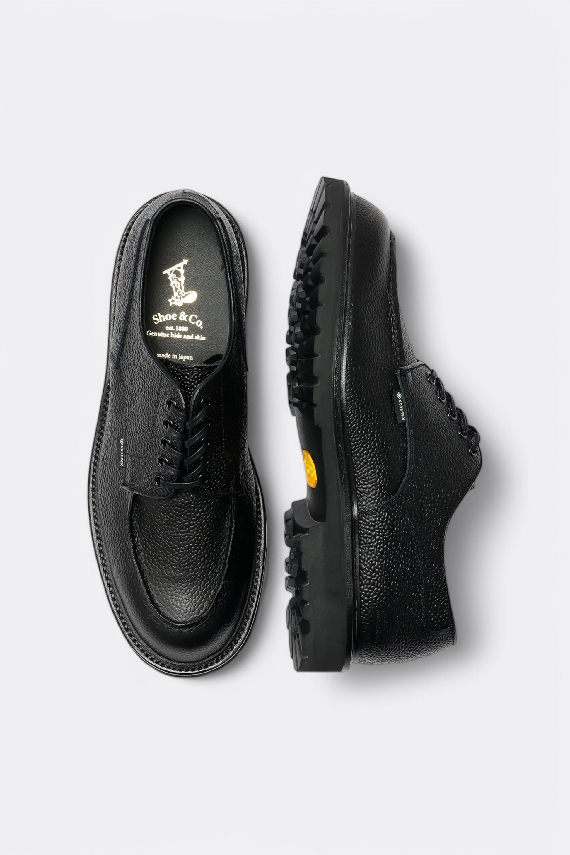 Regal Shoe & Co. - U-Tip GTX (Black Embossed)