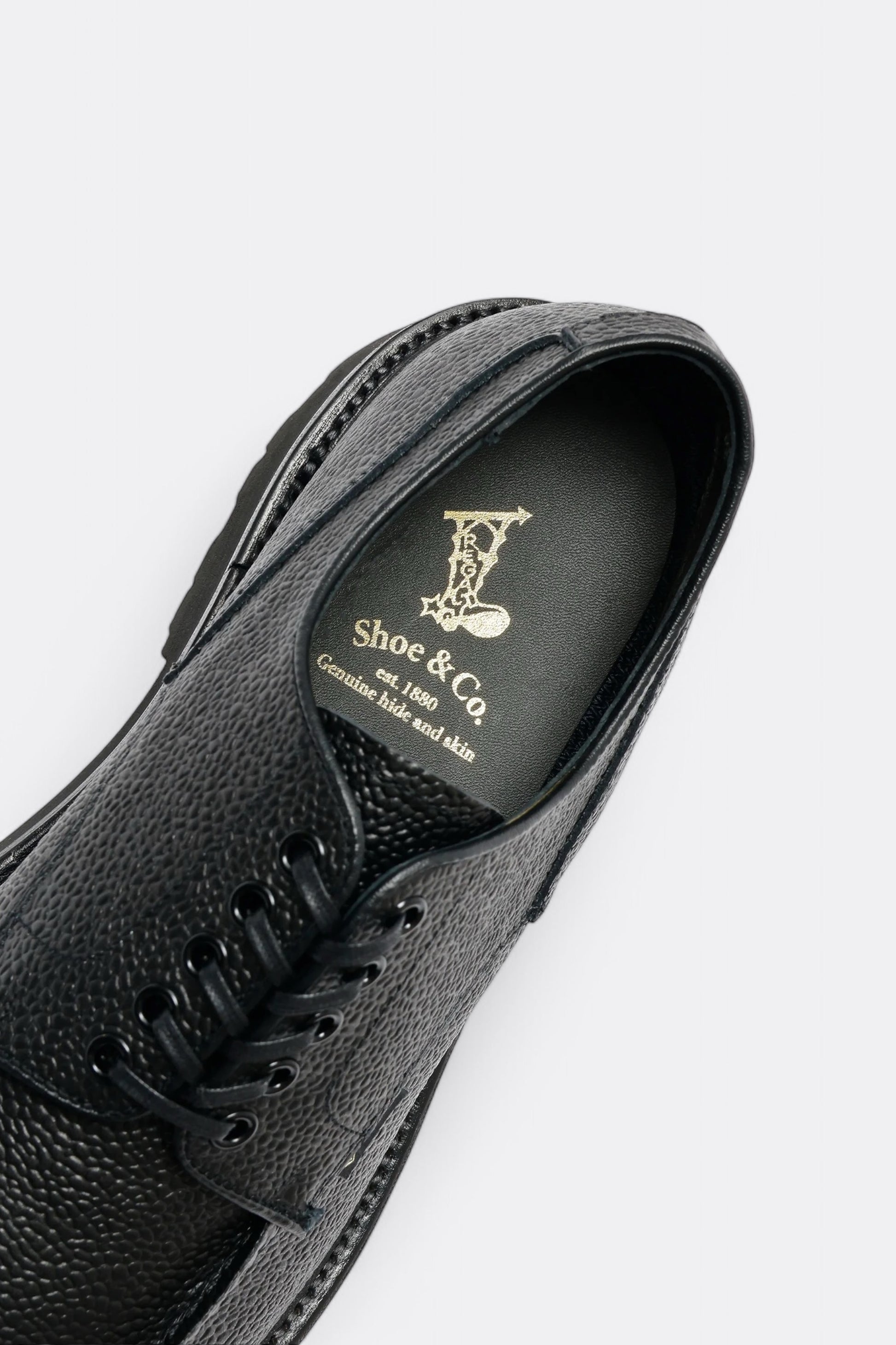 Regal Shoe & Co. - U-Tip GTX (Black Embossed)