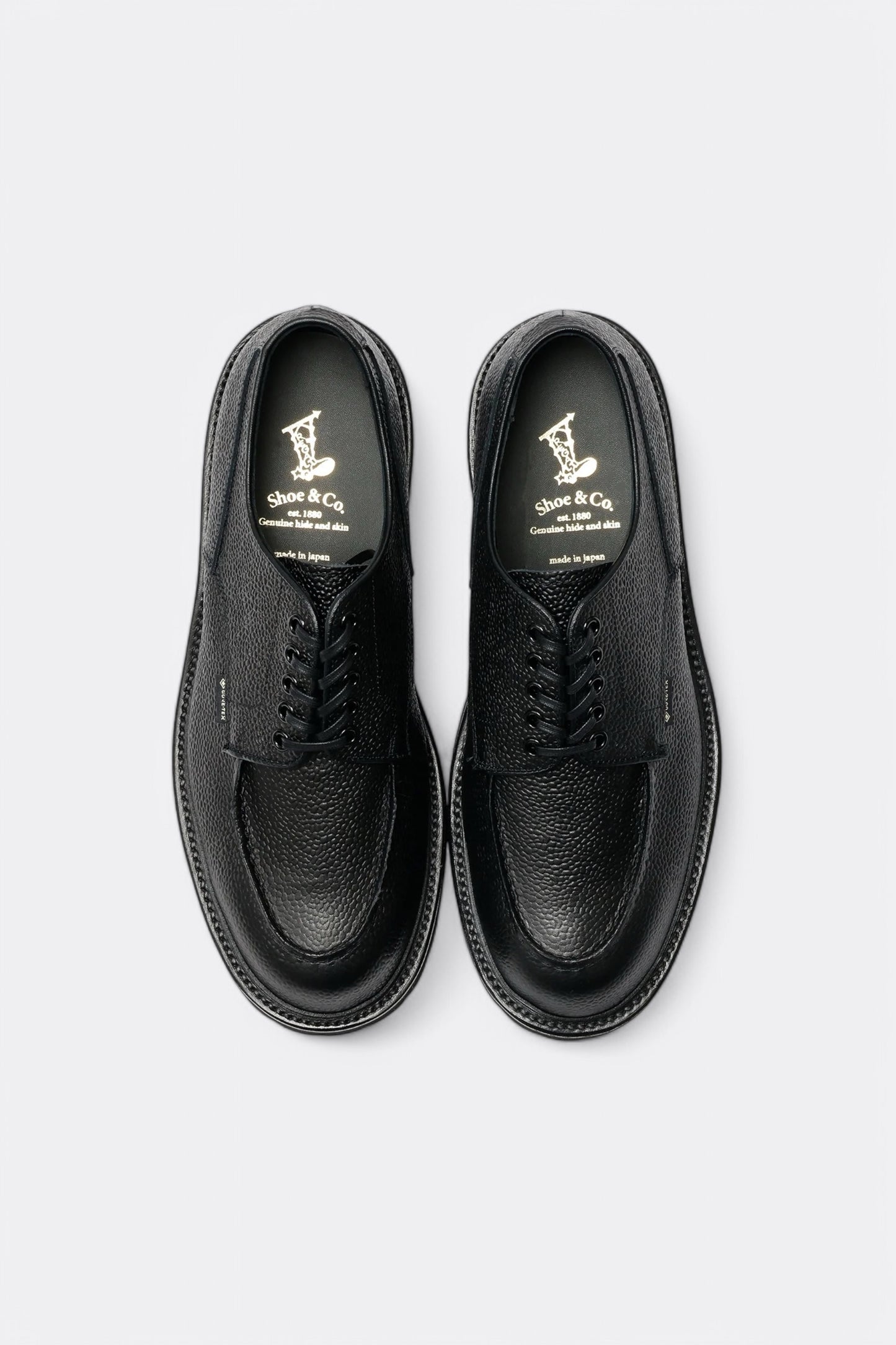 Regal Shoe & Co. - U-Tip GTX (Black Embossed)