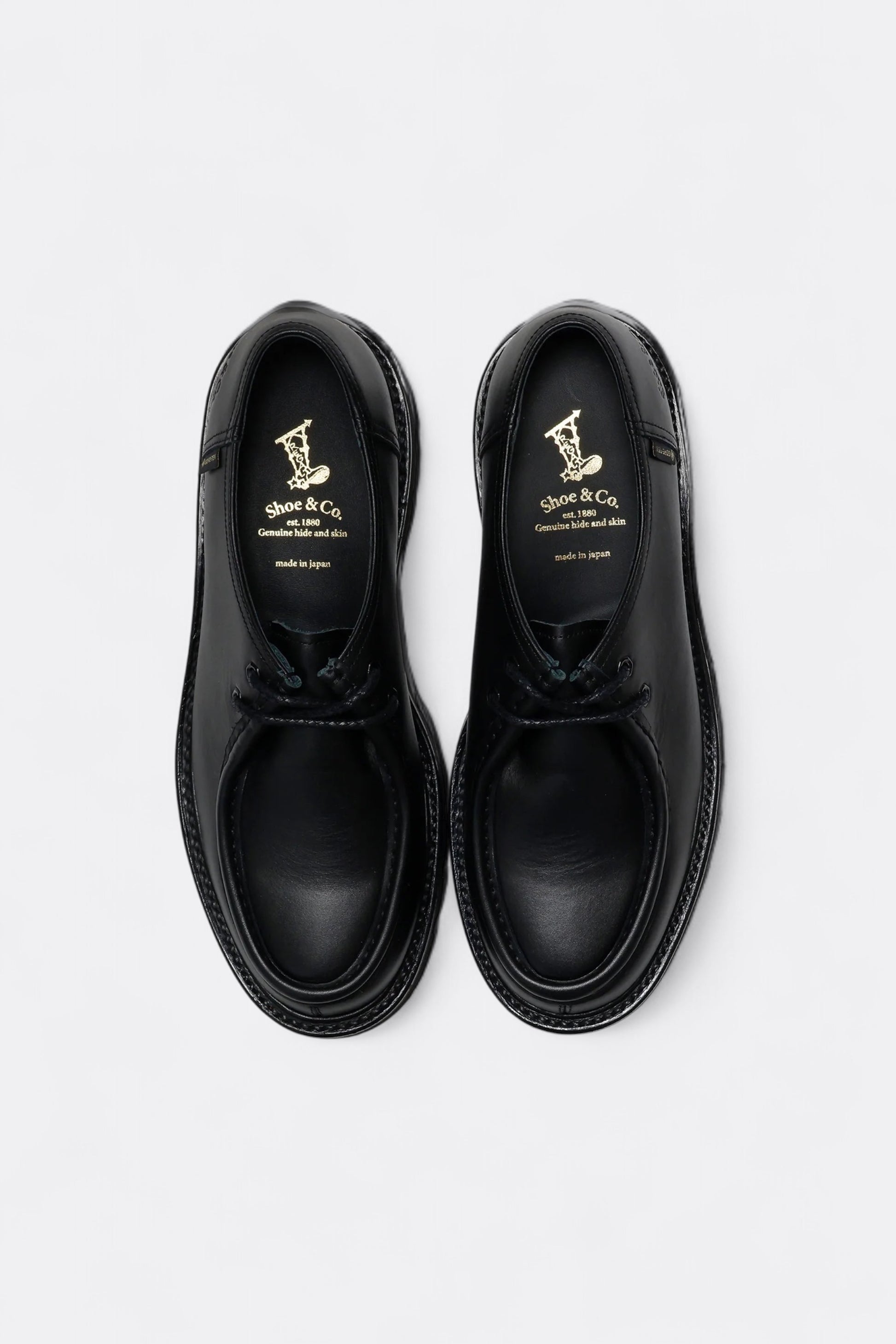 Regal Shoe & Co. - Tyrolean GTX (Black)