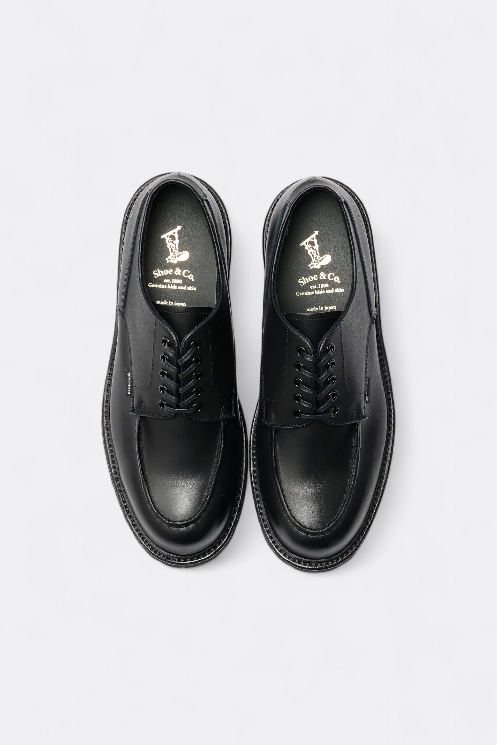 Regal Shoe & Co. U-Tip GTX Black | GORE-TEX Embossed Leather Shoes