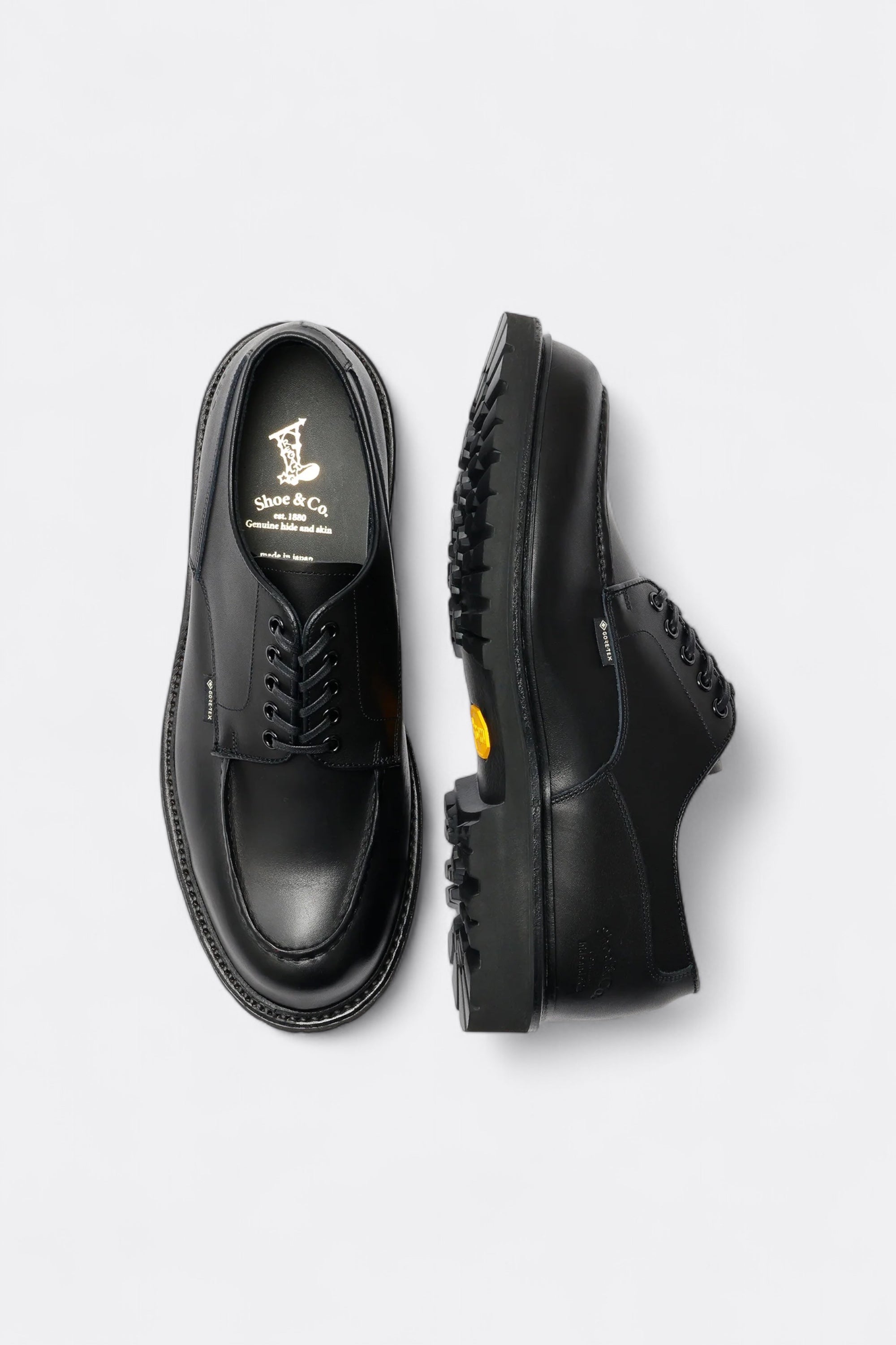 Regal Shoe & Co. U-Tip GTX Black | GORE-TEX Embossed Leather Shoes