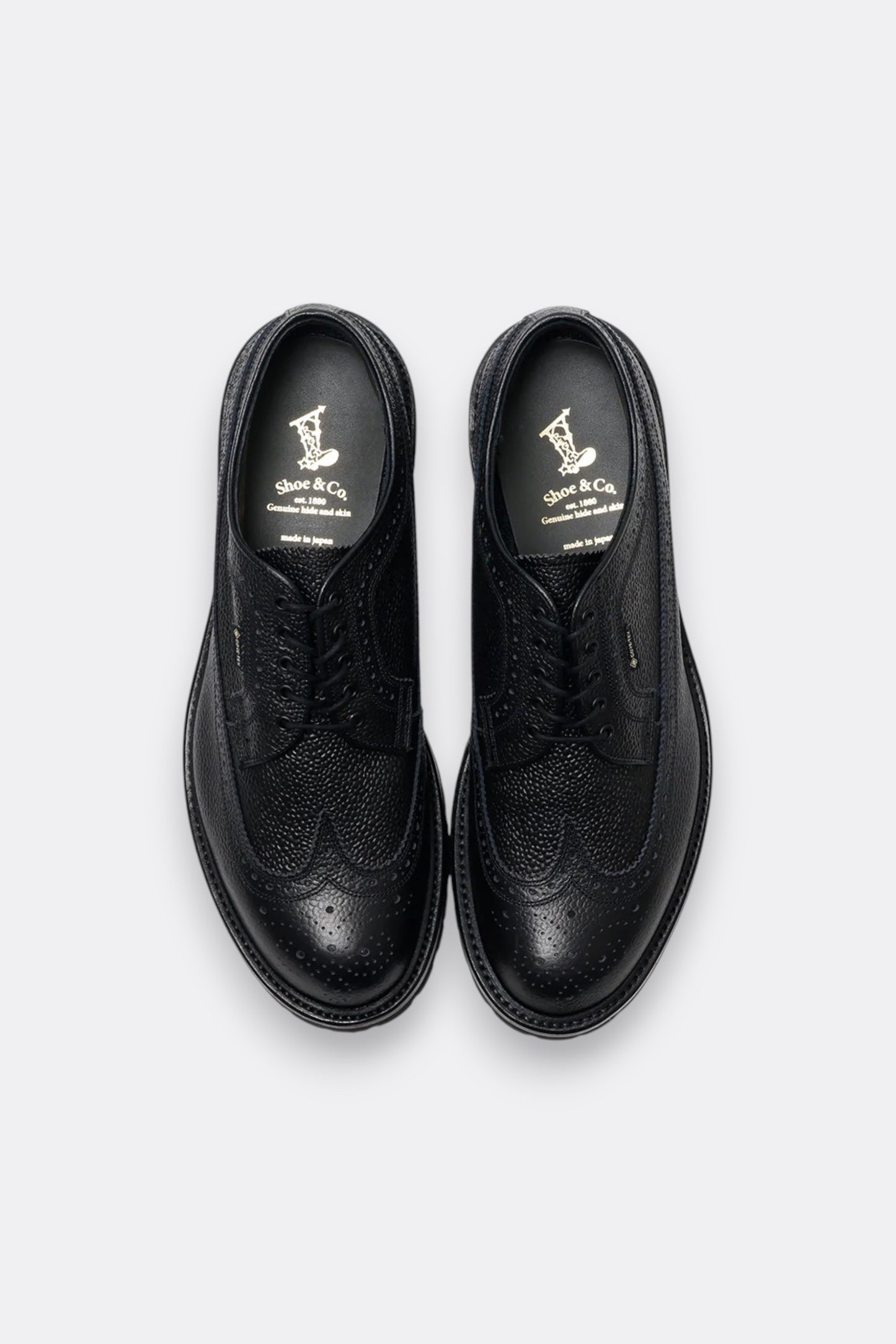 Regal Shoe & Co. - Wing-Tip GTX (Black)