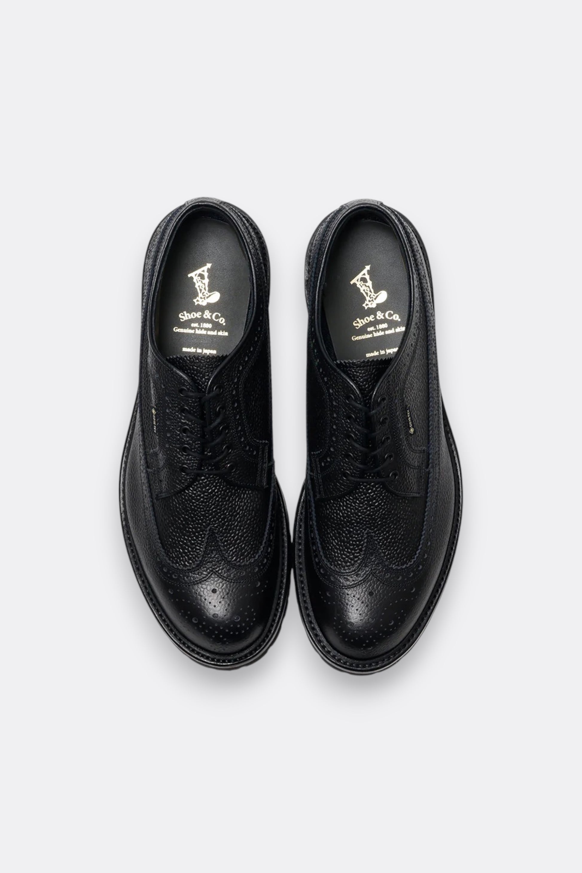 Regal Shoe & Co. - Wing-Tip GTX (Black)