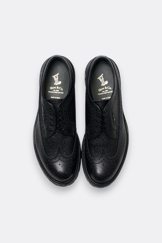 Regal Shoe & Co. - Wing-Tip GTX (Black)