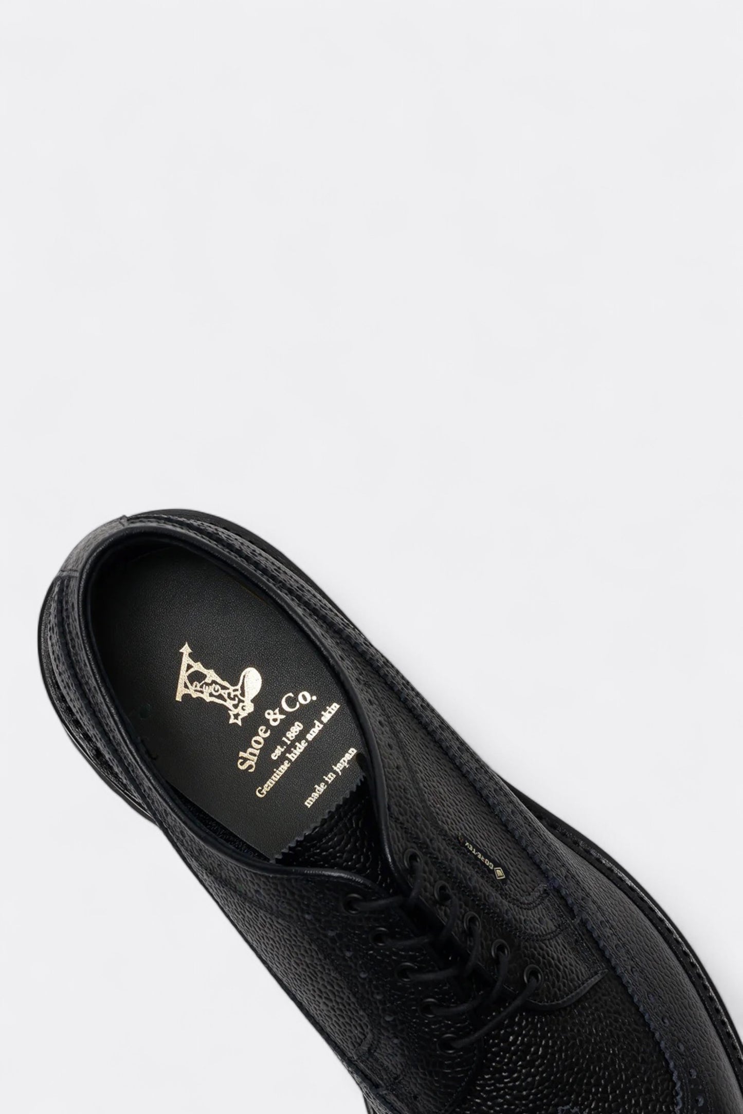 Regal Shoe & Co. - Wing-Tip GTX (Black)