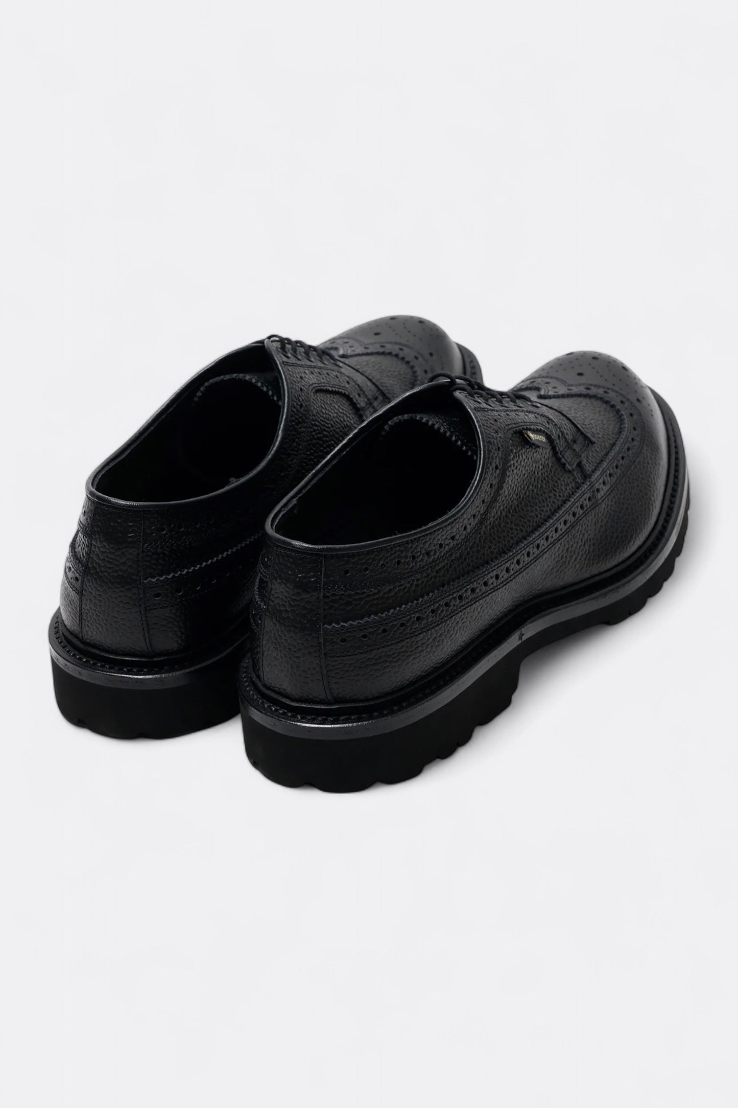 Regal Shoe & Co. - Wing-Tip GTX (Black)