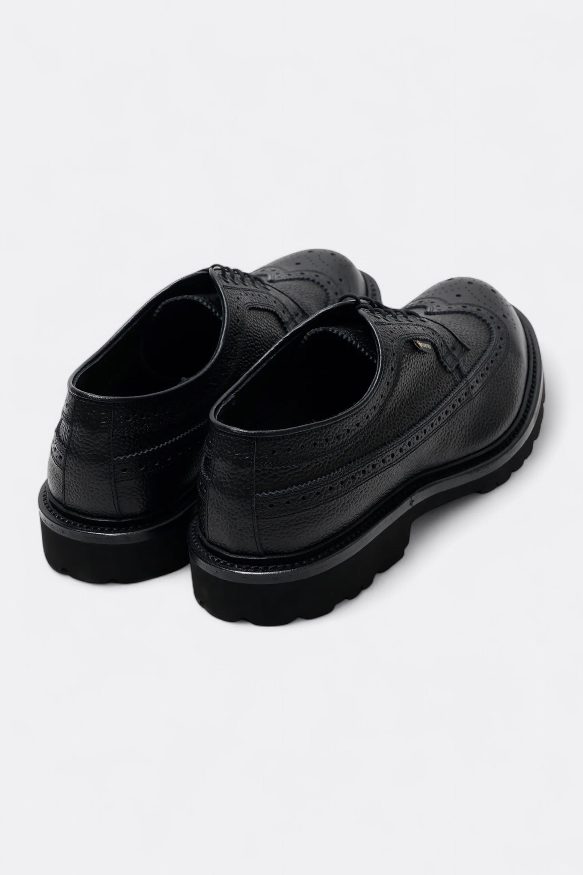 Regal Shoe & Co. - Wing-Tip GTX (Black)