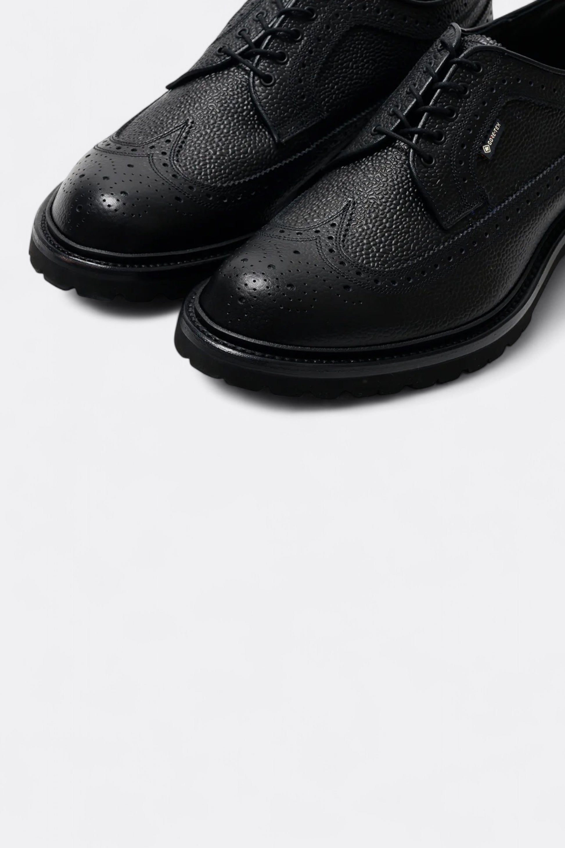 Regal Shoe & Co. - Wing-Tip GTX (Black)