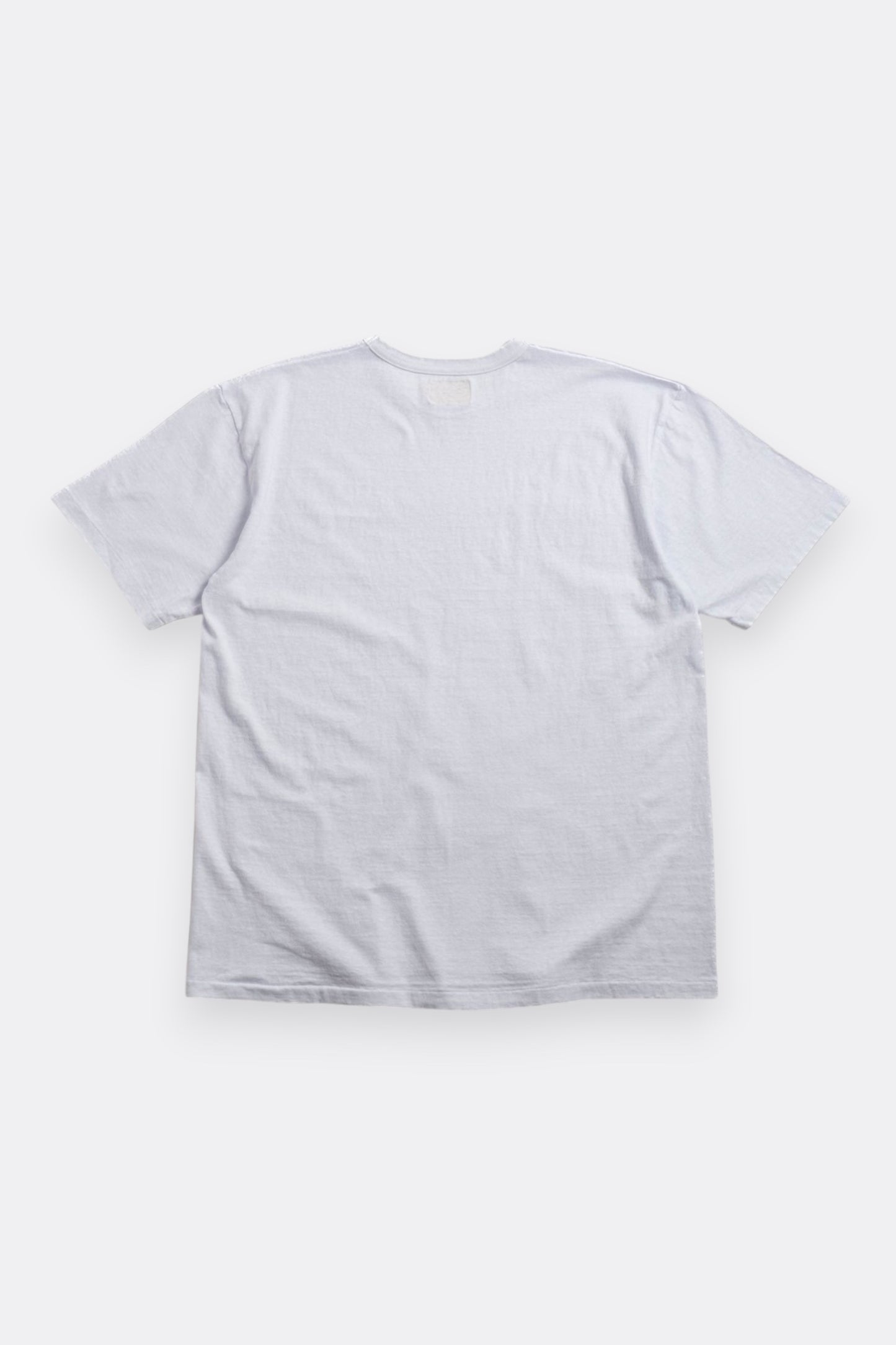 Sunray Sportswear Haleiwa T-Shirt Tinted Aqua | Loop-Wheel Made in Japan | Edgar Bdx